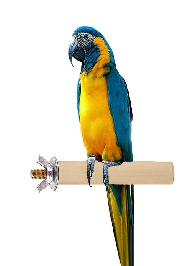 سايج سكوير مجثم/حامل/لعبة من الخشب الطبيعي بطول 12 بوصة / 30 سم، مثالي للببغاء الكوكاتو، وببغاء الأمازون، وببغاء المكاو، والببغاء الرمادي الأفريقي (خفيف الوزن). - Image 1